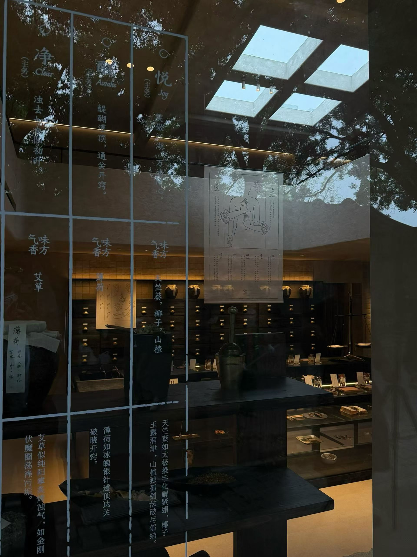 To Summer Guozijian — Beijing, China: To Summer Guozijian, Beijing — view through the etched glass facade into the daylit interior