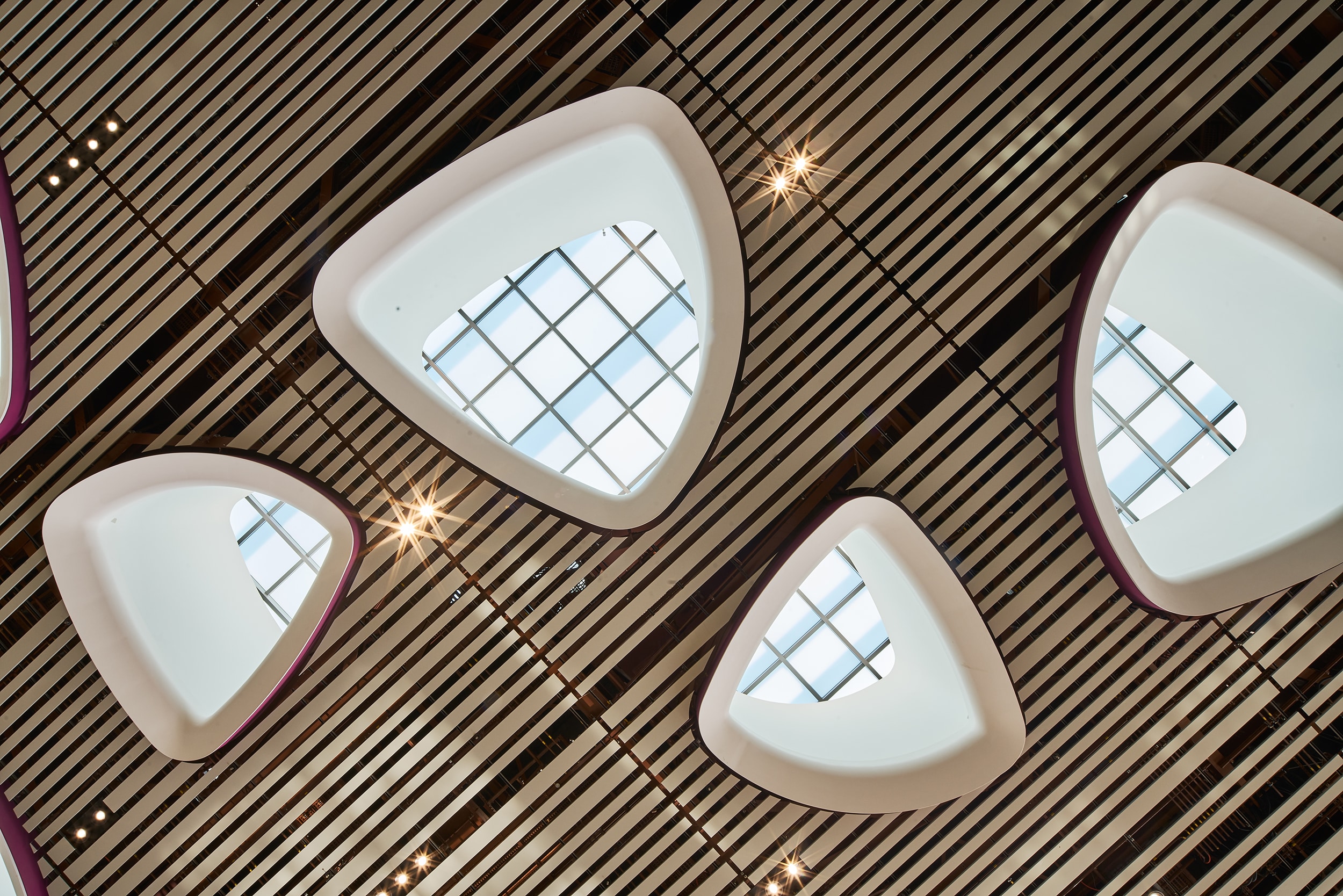 Terminal 4 Changi Airport — Singapore: lighting design view 5 of 8, by Lichtvision